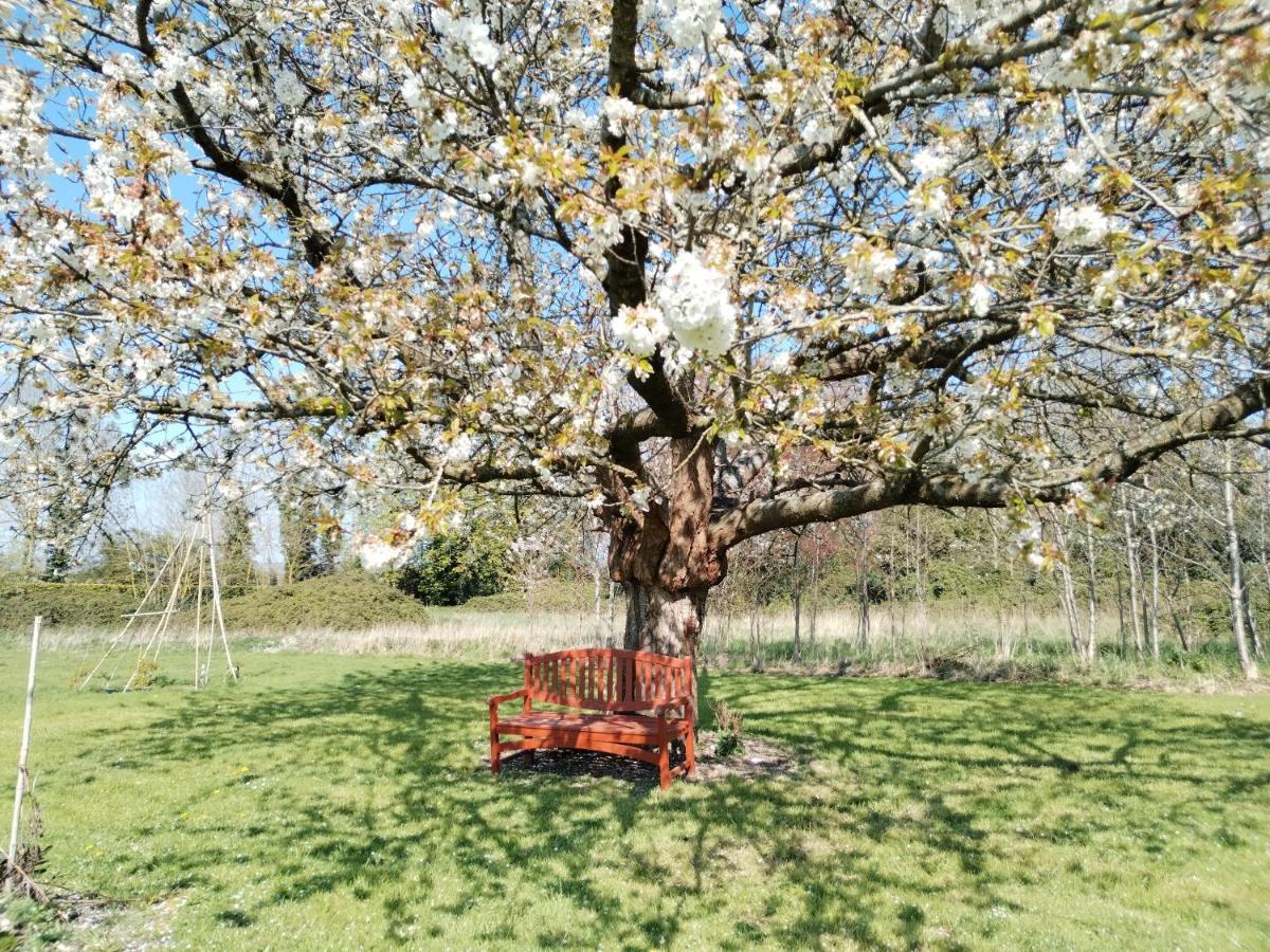 Domaine Des Cerisiers *
